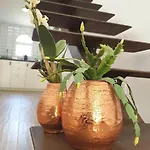Daire Der Ort Des Lichts By Interhome *